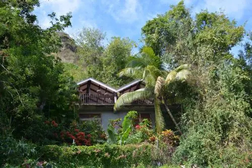 Uptown Guest House