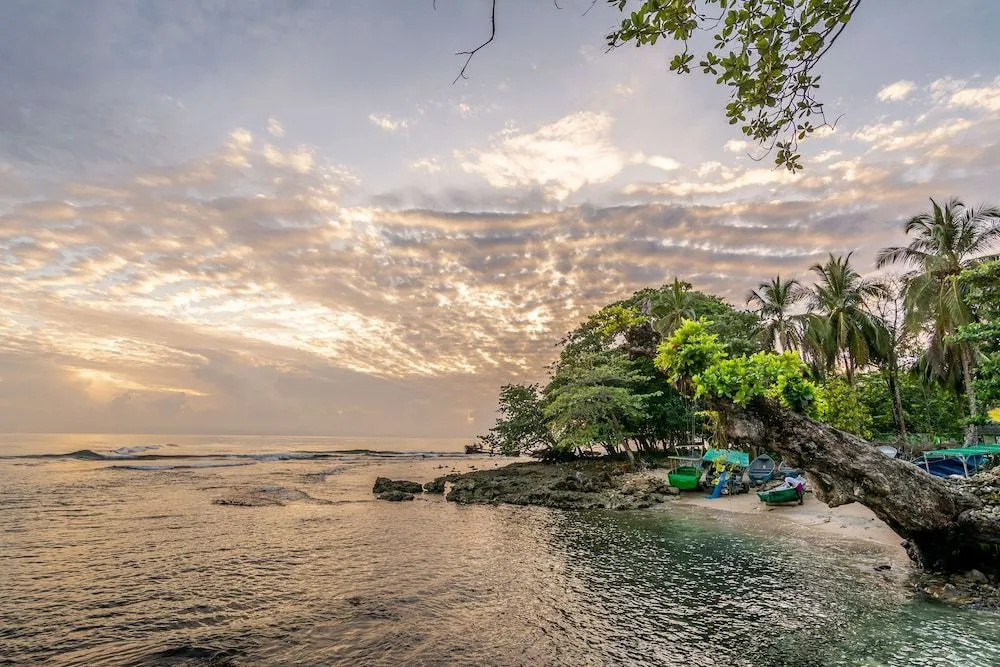 Beach & Waterfront