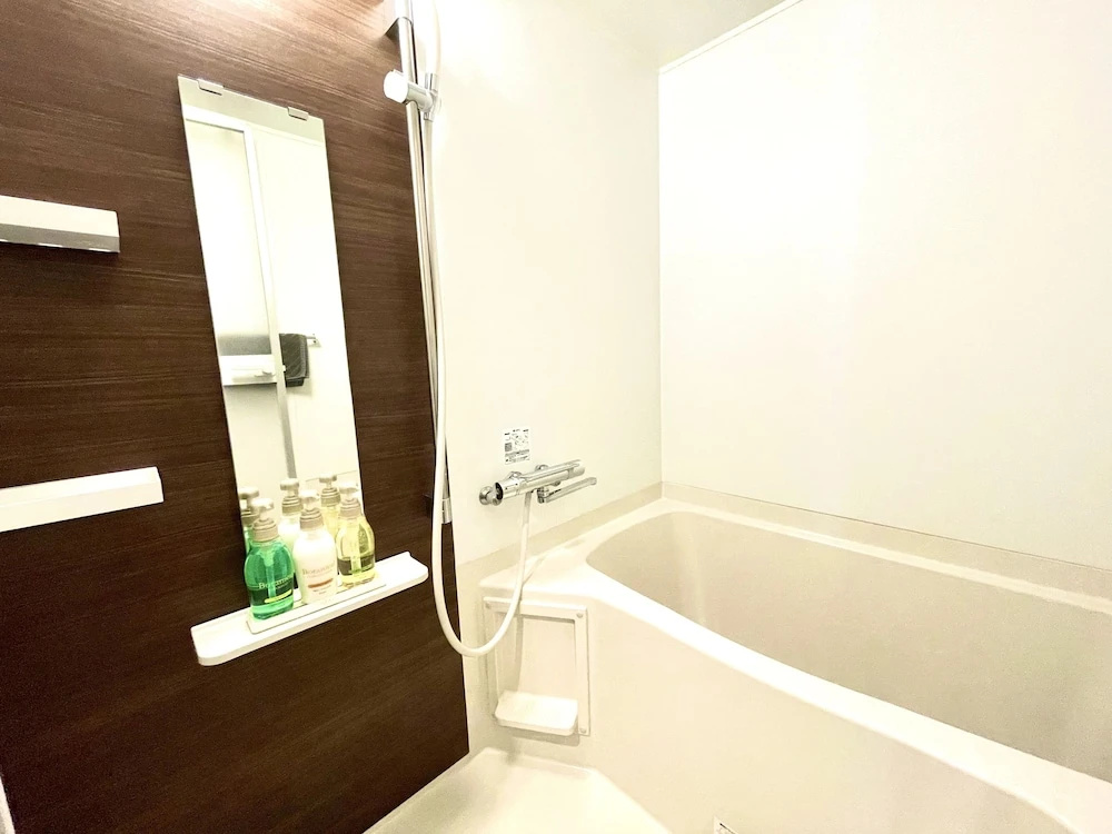 Standard Double Apartment with balcony (full double bed)