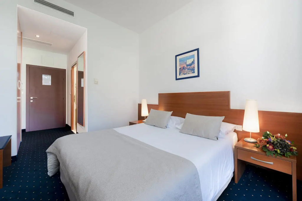 Standard Double room with balcony and with park view (full double bed)