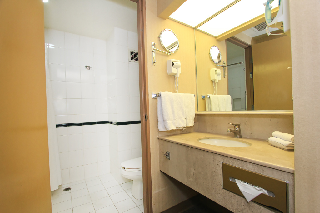Holiday Inn Leon - Poliforum by IHG - Général