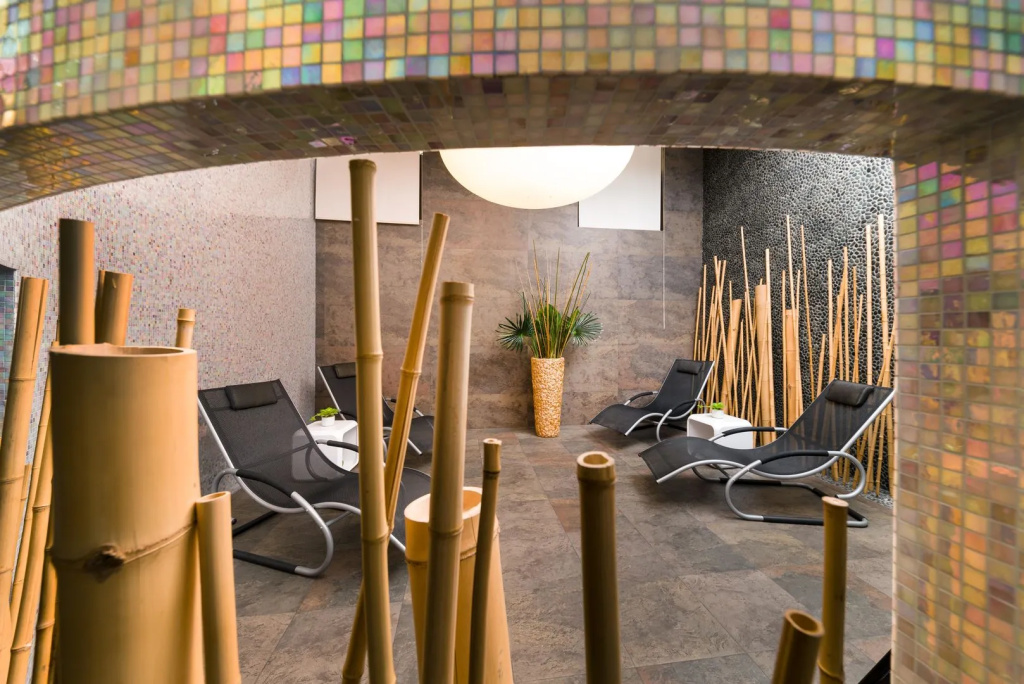 Eurostars Palazzo Zichy - Général