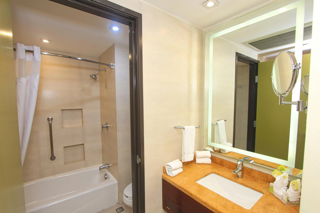 Holiday Inn Leon by IHG - Général