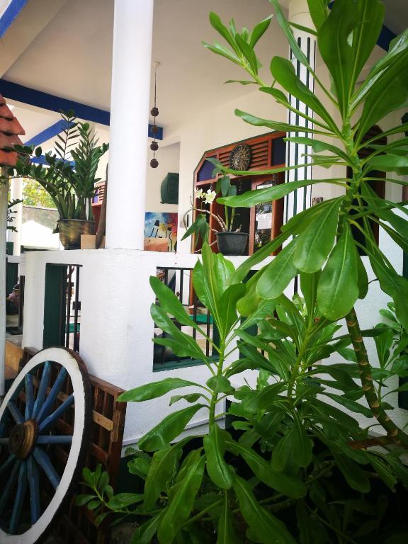 Frangipani Beach Villa