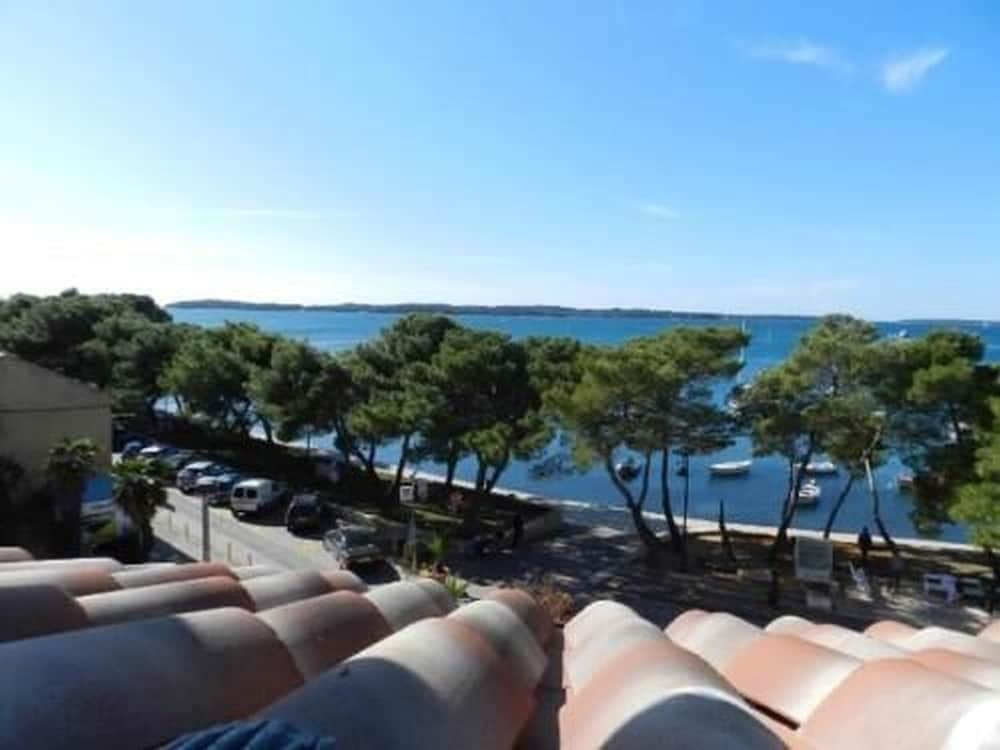Apartments Radomir