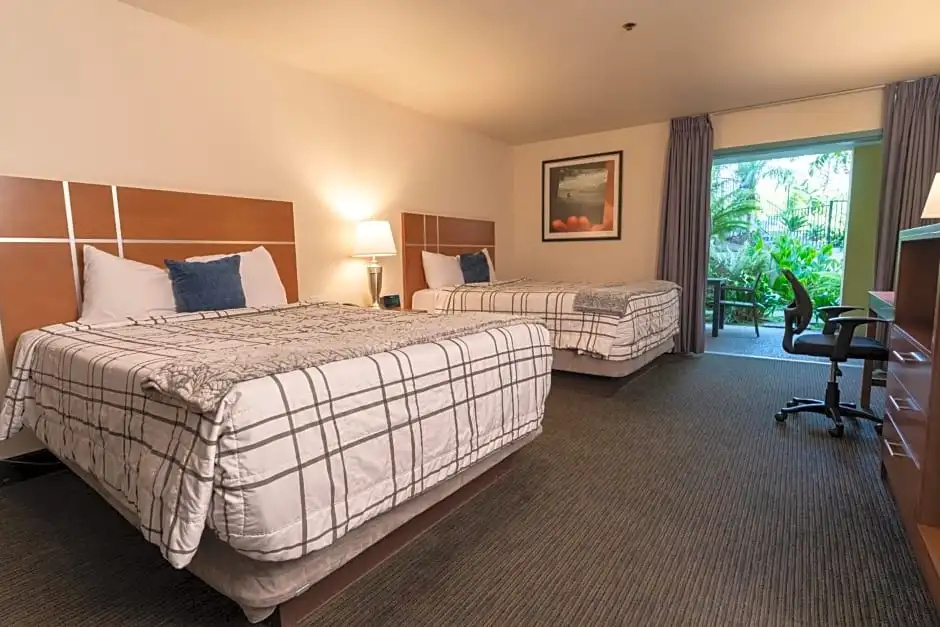 Standard Double room with pool view (full double bed)