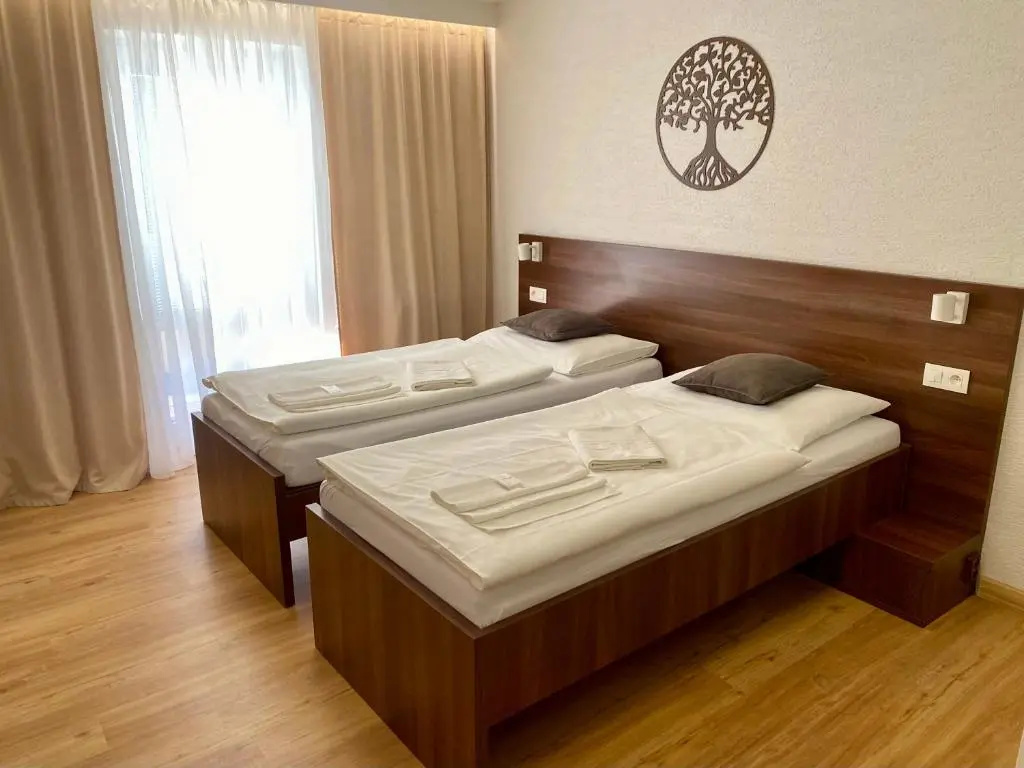 Standard Double room (twin beds)