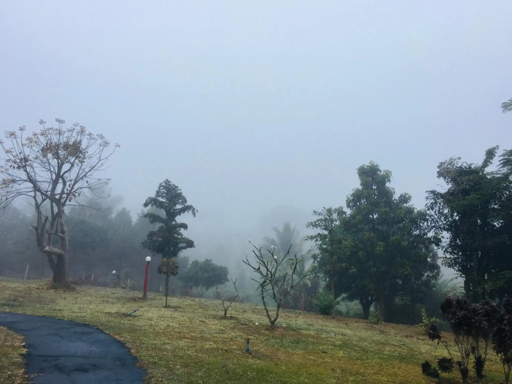The Natural Yurt Resort at Khao Kho - фото 40
