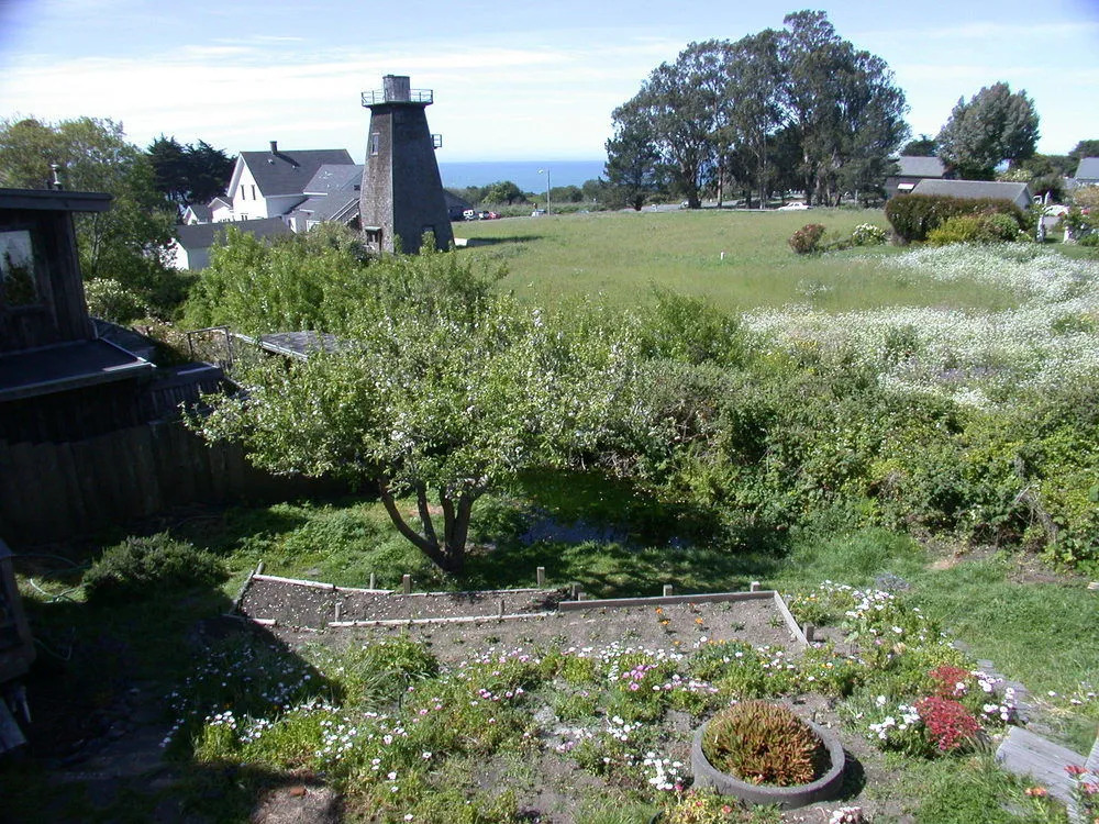 Nicholson House Inn - фото 13