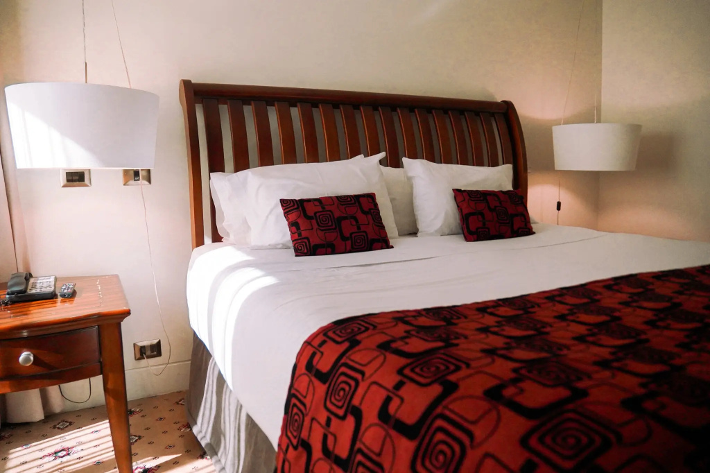 Hotel Torremayor Lyon - Général