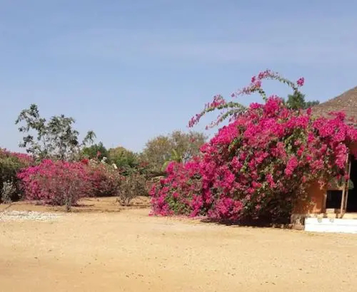 Baobab Lodge