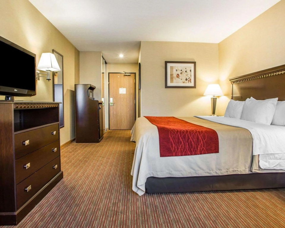 Quality Inn - фото 27