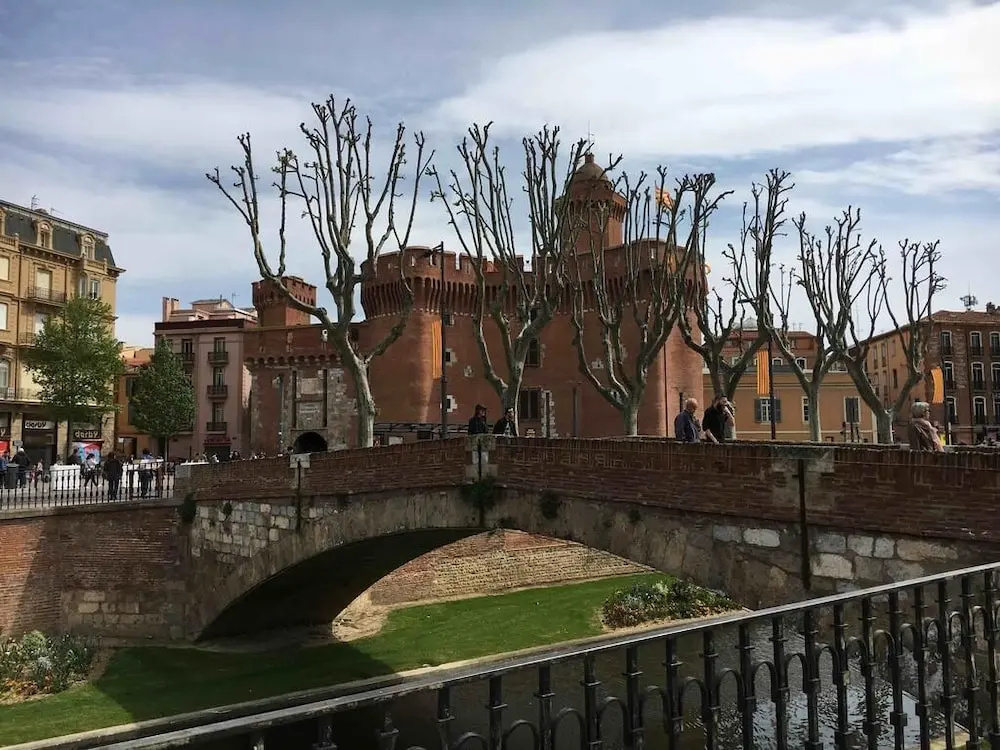 Voir la photo 1 — L´oliveraie