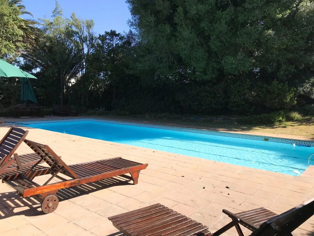 Greenways Manor Guesthouse - фото 13