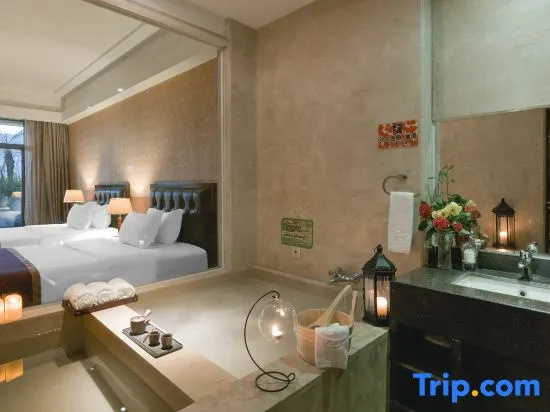Standard Double room with mountain view (full double bed)