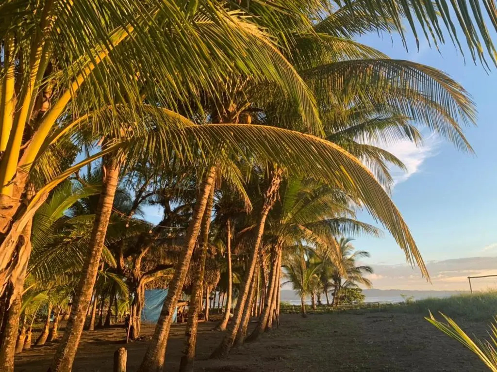 Oasis Surf Camp - Chambres