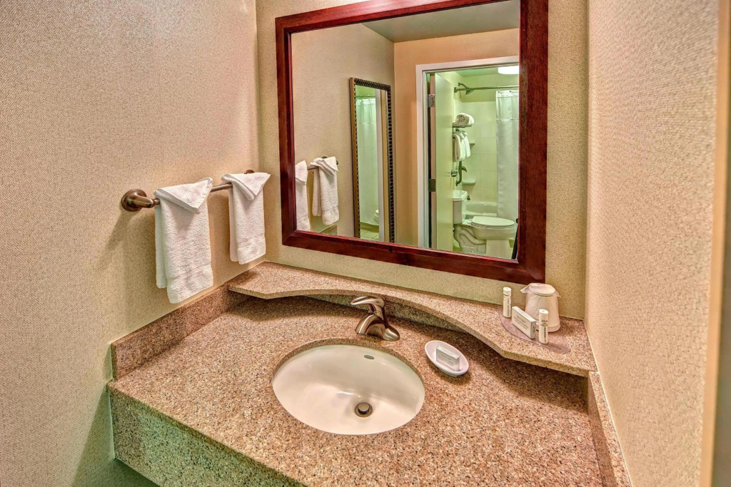 SpringHill Suites Marriott Norfolk Old Dominion University - Général