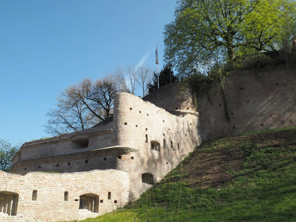 Image 15