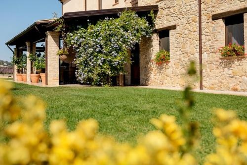Agriturismo Collelago