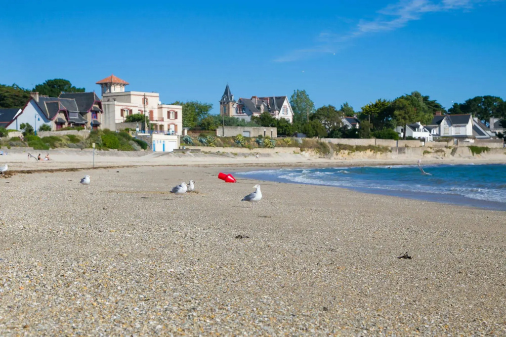 Hotel De la Plage - Général