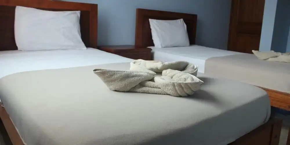 Hotel Amazonico - Général