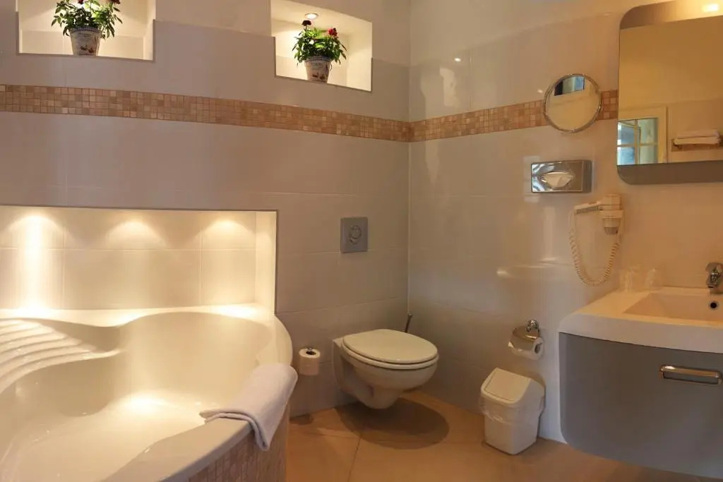 Comfort Double room (full double bed)