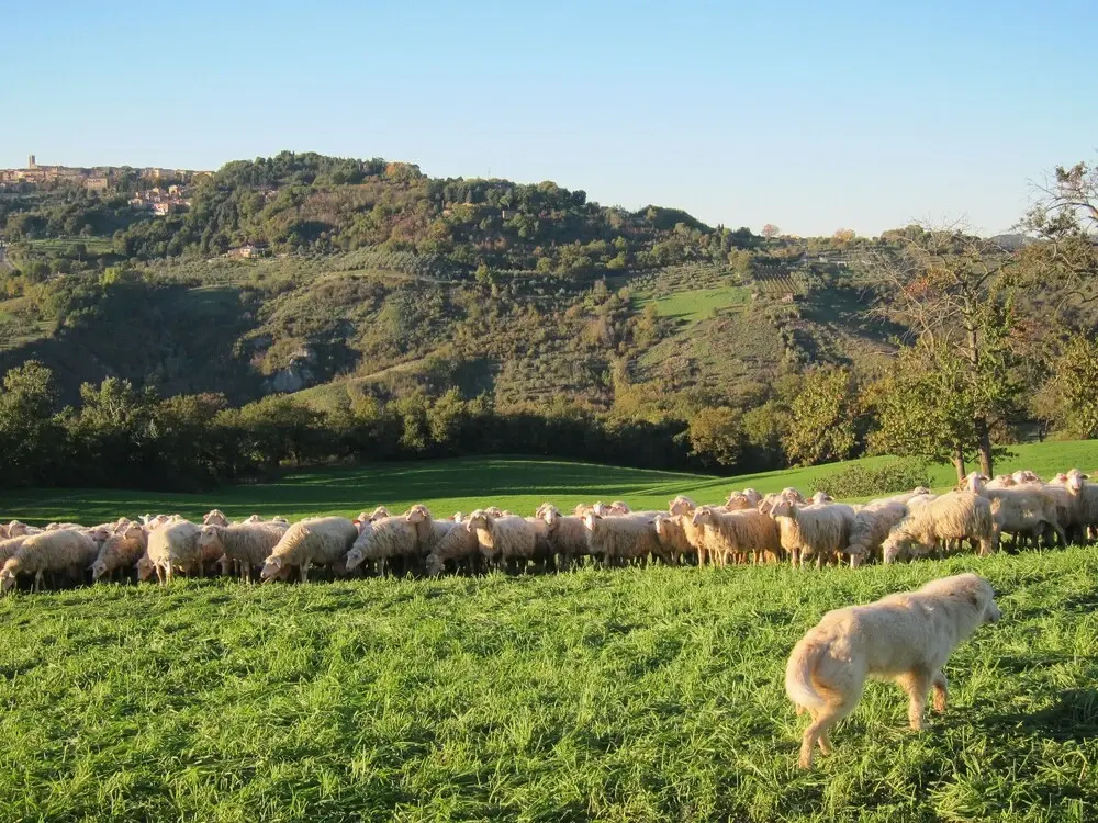Agriturismo Podere Paugnano