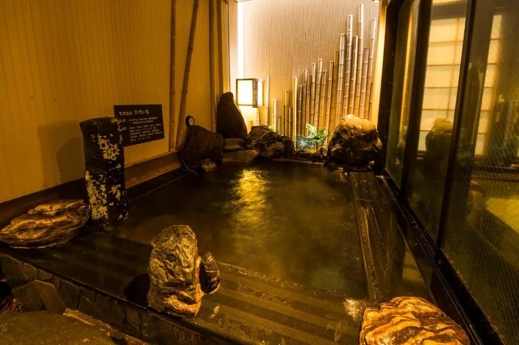 Dormy Inn Express Mikawa Anjo Natural Hot Spring - Chambres