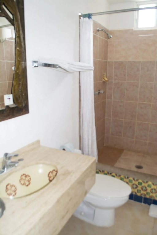 Hotel Olinalá Diamante - Général
