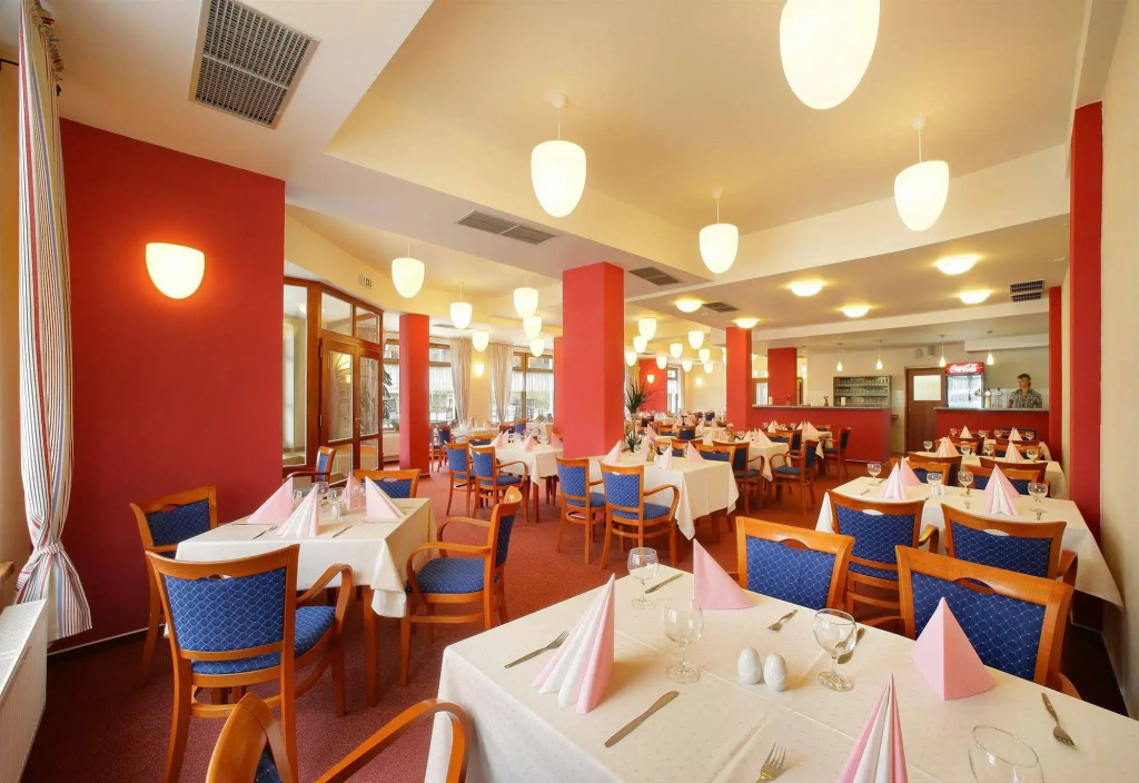 Hotel Záviš z Falkenštejna - Général