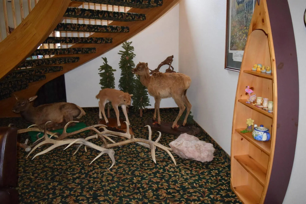 Greenwood Village Inn & Suites - Général