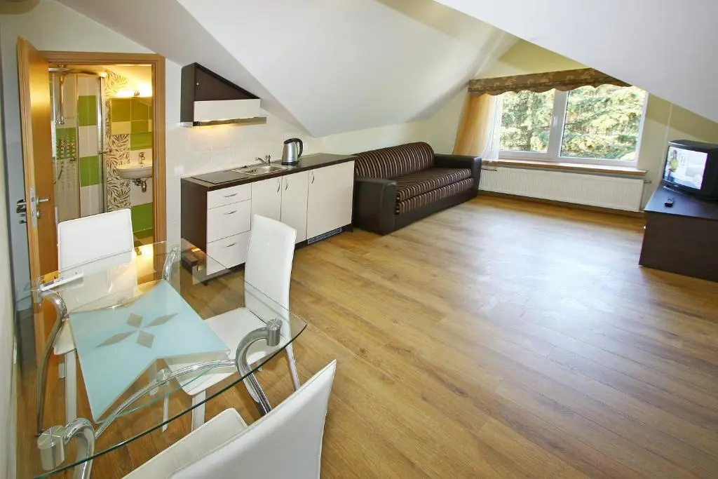 1 Bedroom Attic Apartment