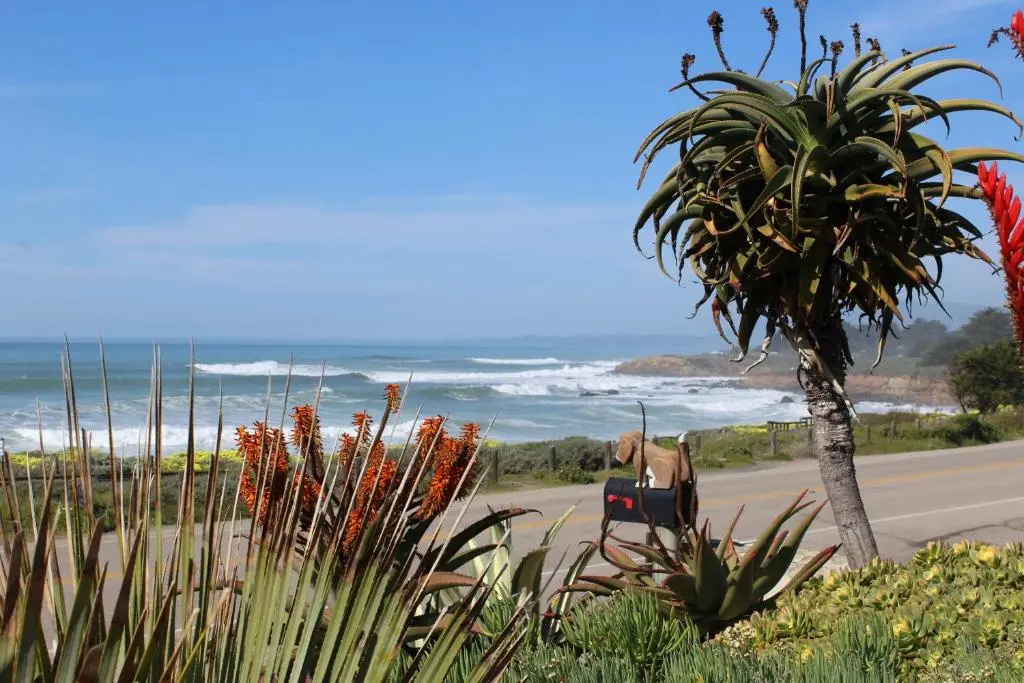 Beach & Waterfront