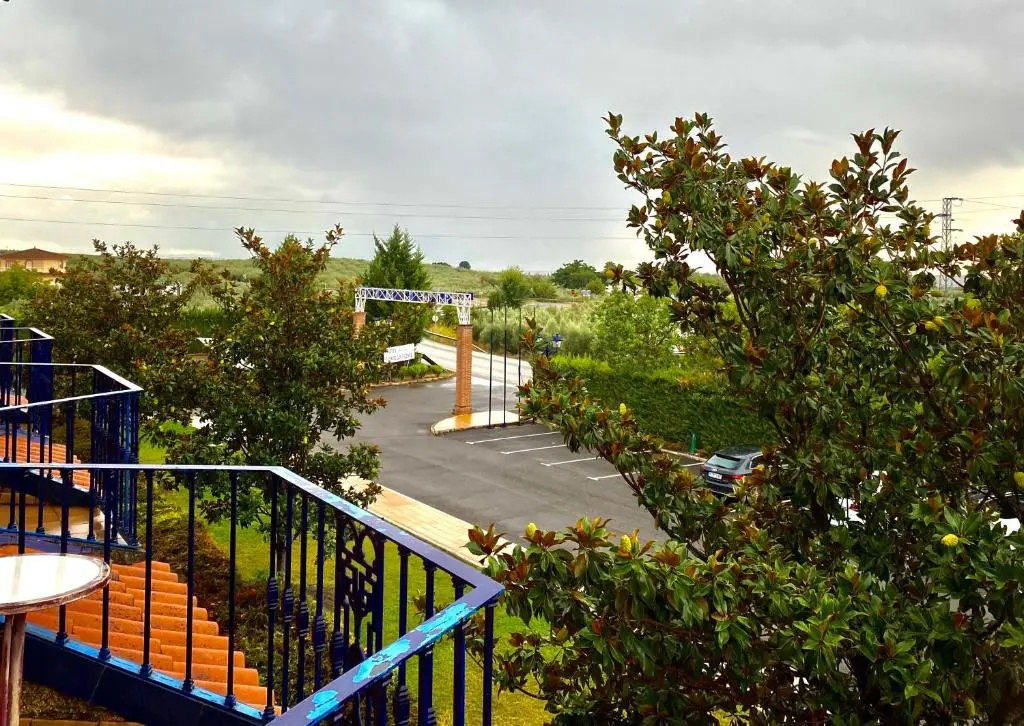 Standard Double room with garden view (full double bed)