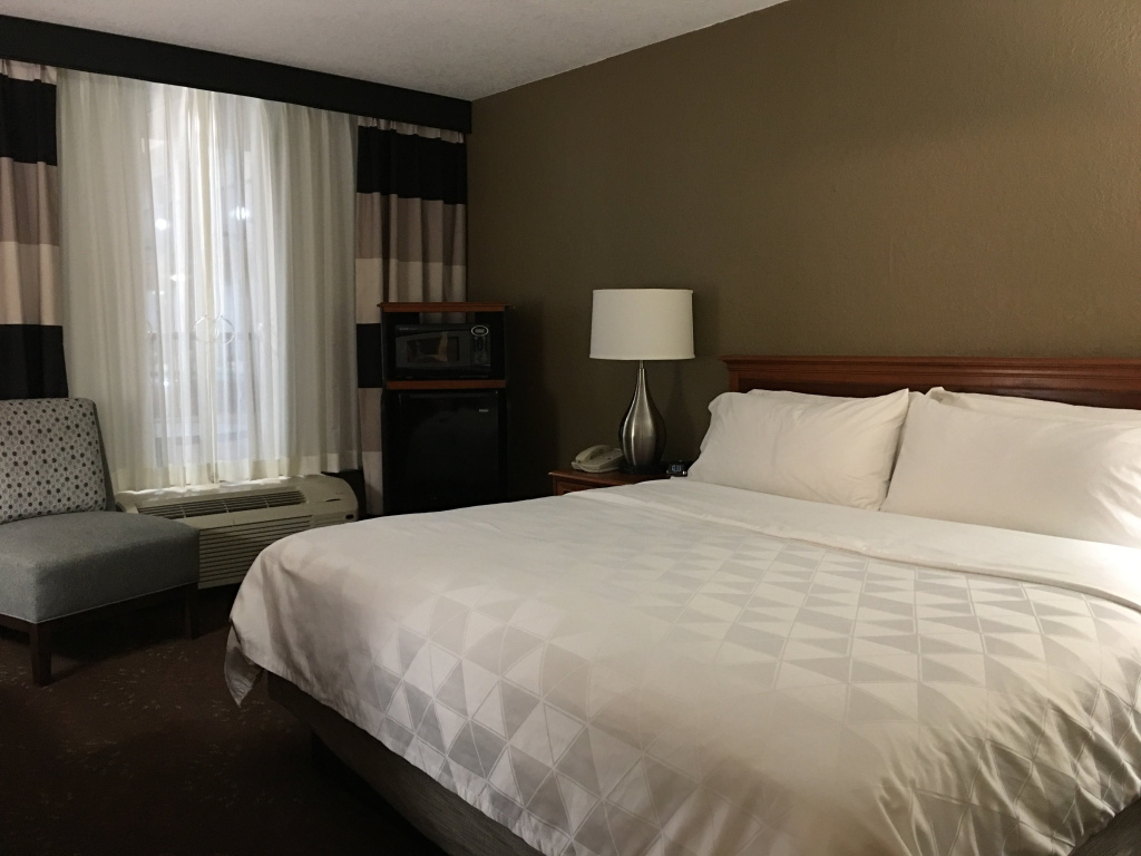 Holiday Inn Alexandria by IHG - Général