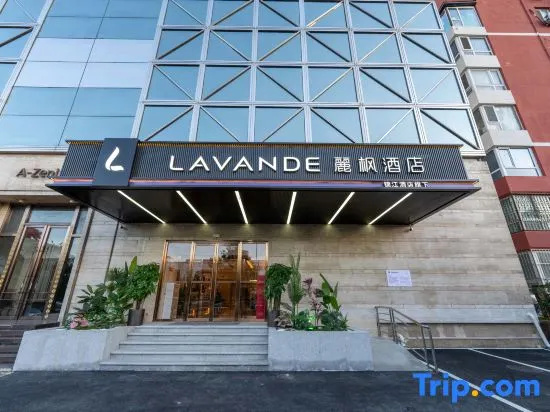 LAVANDE Hotel Beijing Bird's Nest University of Foreign Economic and Trade Branch