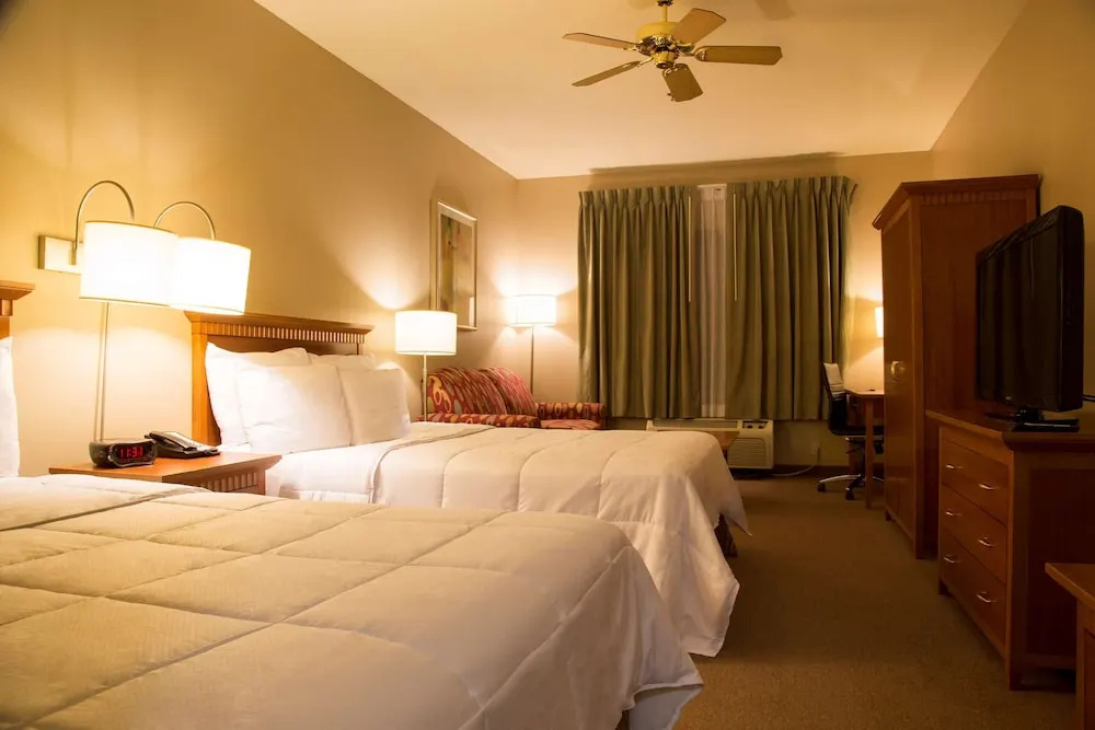 Executive Quadruple Suite
