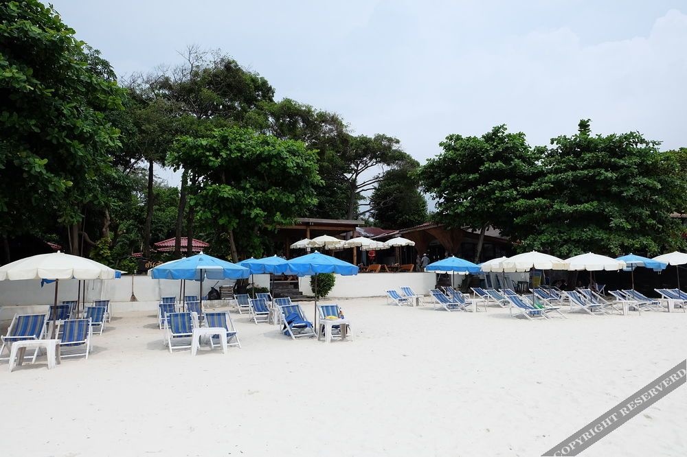 Beach & Waterfront