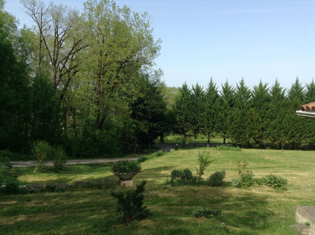 Image 15