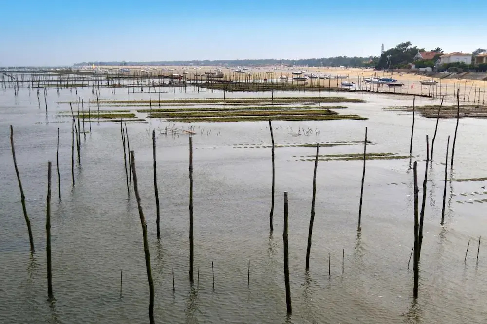 Voir la photo 2 — Heritage Mansion on Arcachon Bay