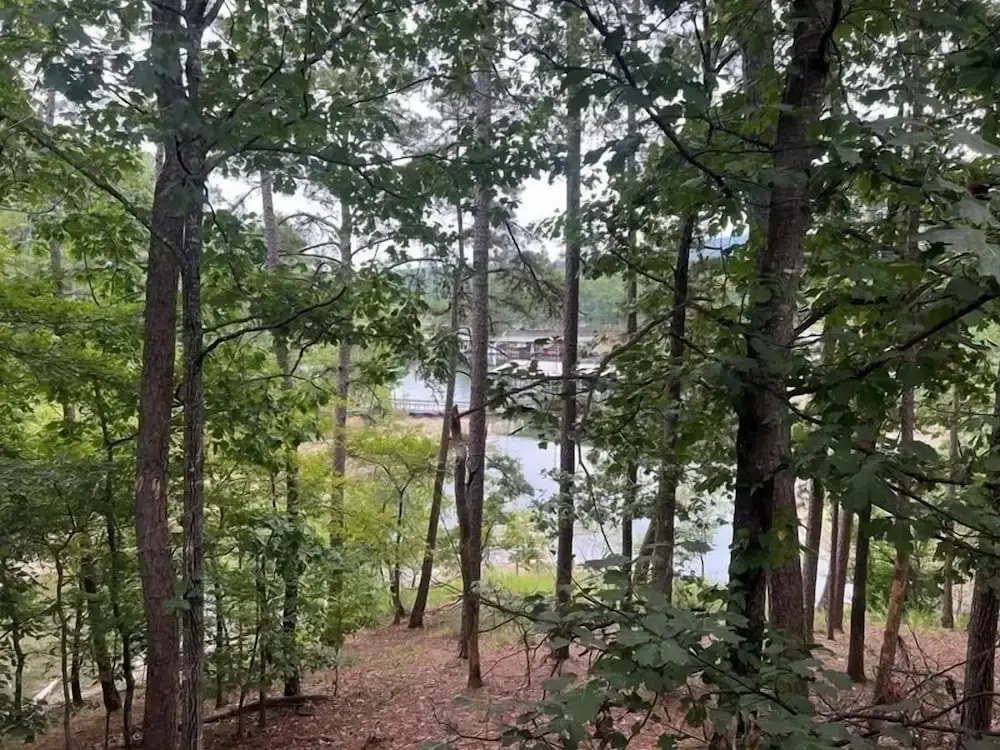 Lake view three bedroom, three bath cottage with private hot tub overlooking Lake Ouachita. by RedAwning