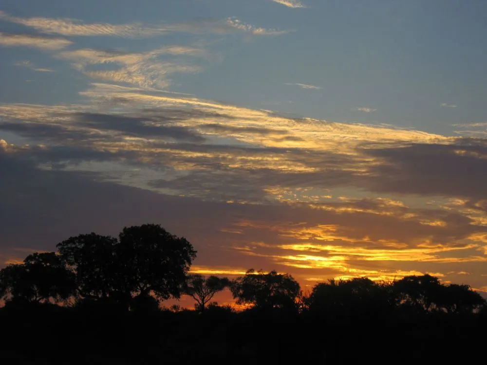Bateleur Safari Camp