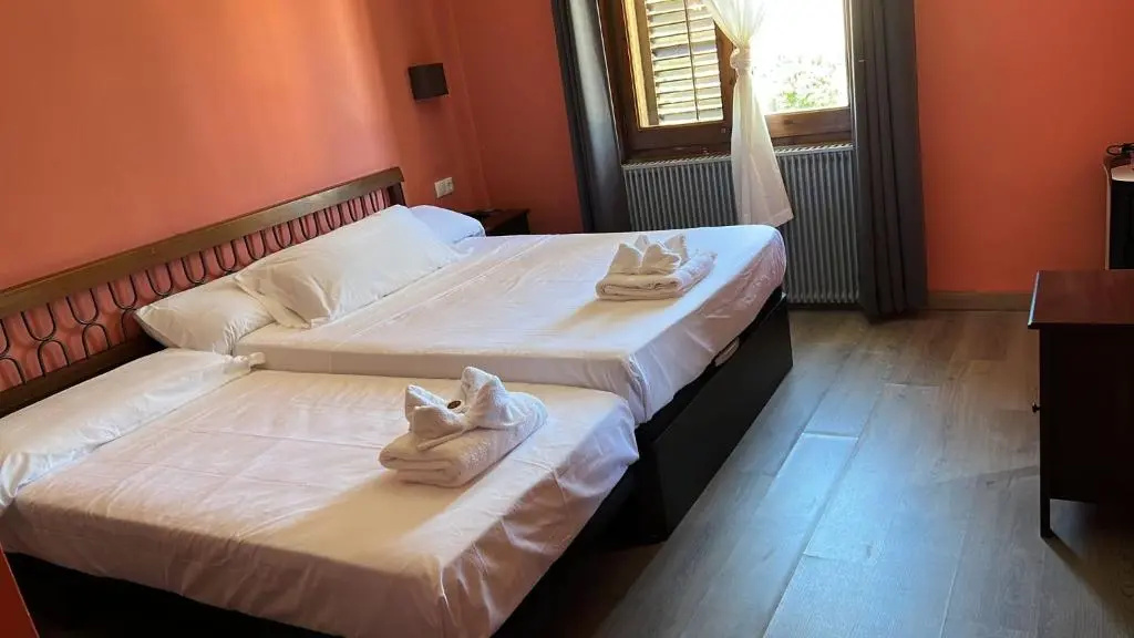 Standard Double room (twin beds)