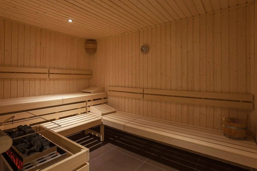 Royal Ours Blanc Boutique Hôtel & Spa - Général