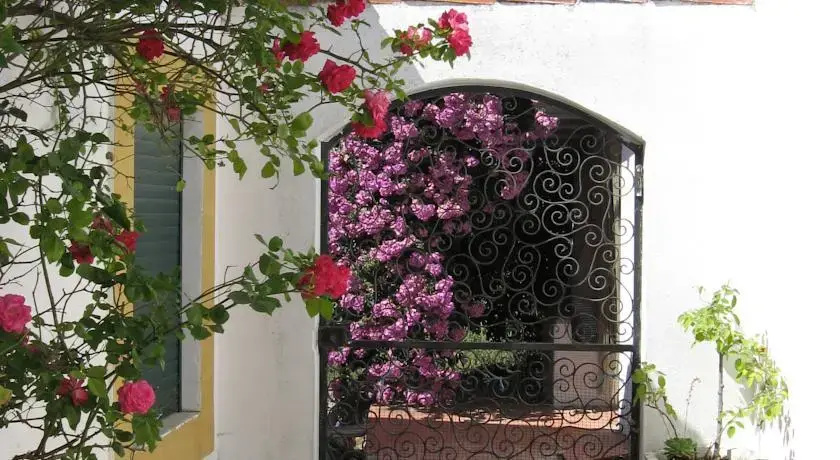 São Silvestre, Horse Farm