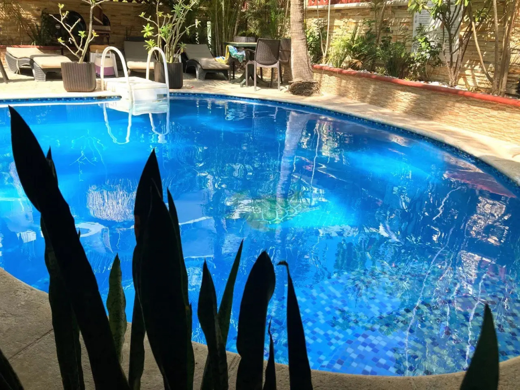 Hotel photo 12