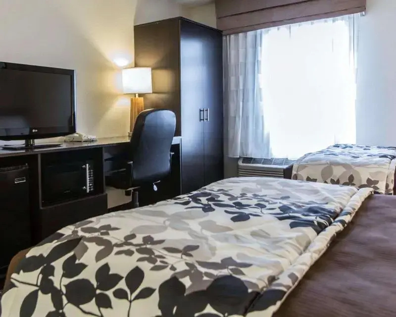 Standard Sextuple room
