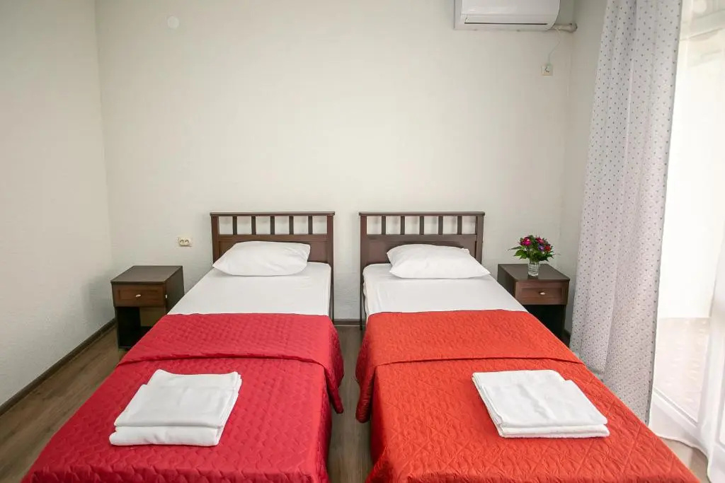 Standard Double room with mountain view (twin beds)