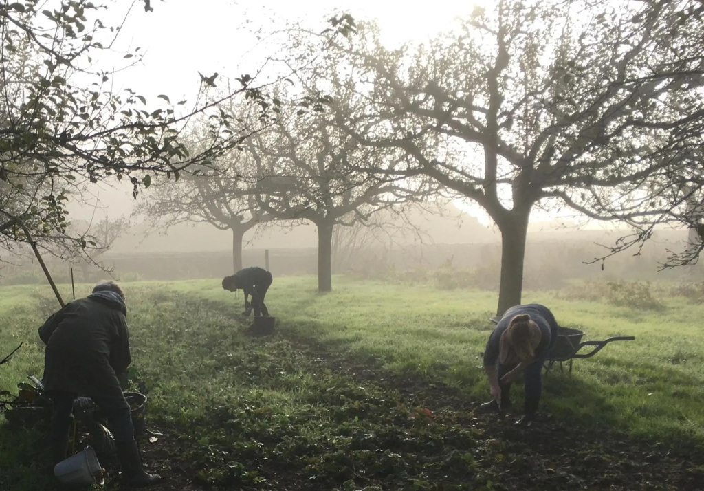Warmoes tuinderswoning