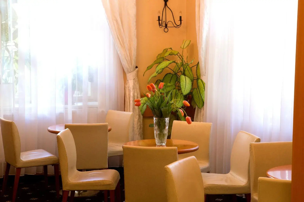 Hotel photo 10